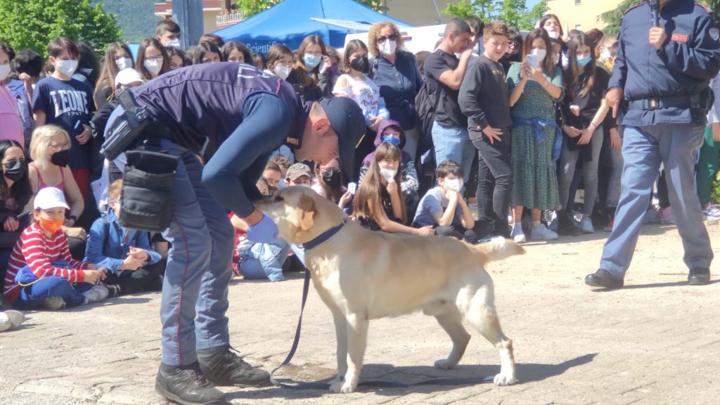 cane polizia colleferro